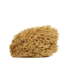 Cose della Natura – Arcipelago Lavata CORPO 6/8 gr – S