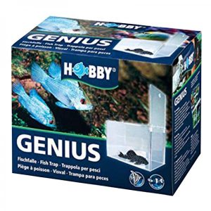 Hobby – Genius