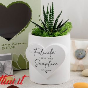 Vasetto con Piantina e Muschio – 25335 Claraluna