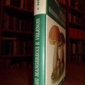 FUNGHI mangerecci e velenosi