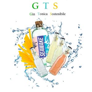 GTS (Gin + Tonica + Sostenibile) 2 Gin + 24 toniche con 60 cannucce biologiche OMAGGIO