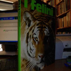 I FELINI – BADINO, Guido – 1974