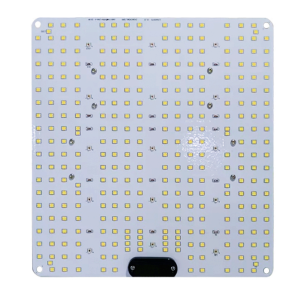 Ortoled LITTLE MONSTER Quantum Board 100W 2.7 umol/J Dimmerabile