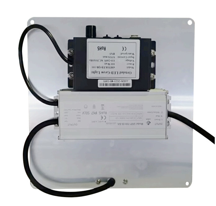 Ortoled LITTLE MONSTER Quantum Board 100W 2.7 umol/J Dimmerabile - immagine 2