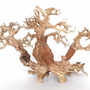 Whimar – Decor Twin Bonsai Wood