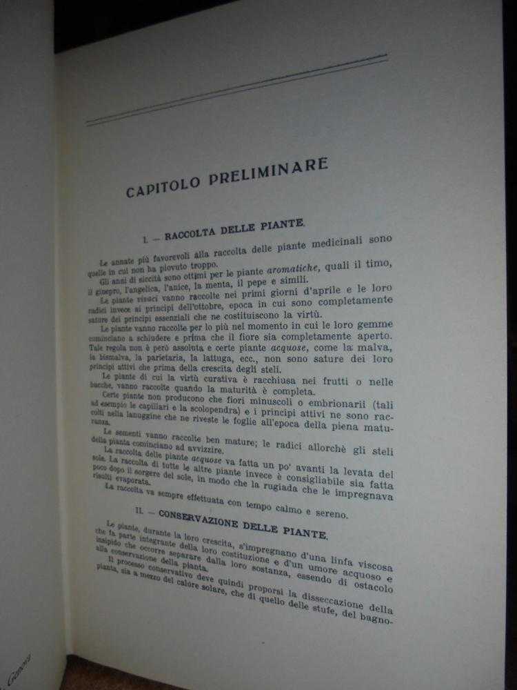 Erbe e Piante Medicinali - immagine 4