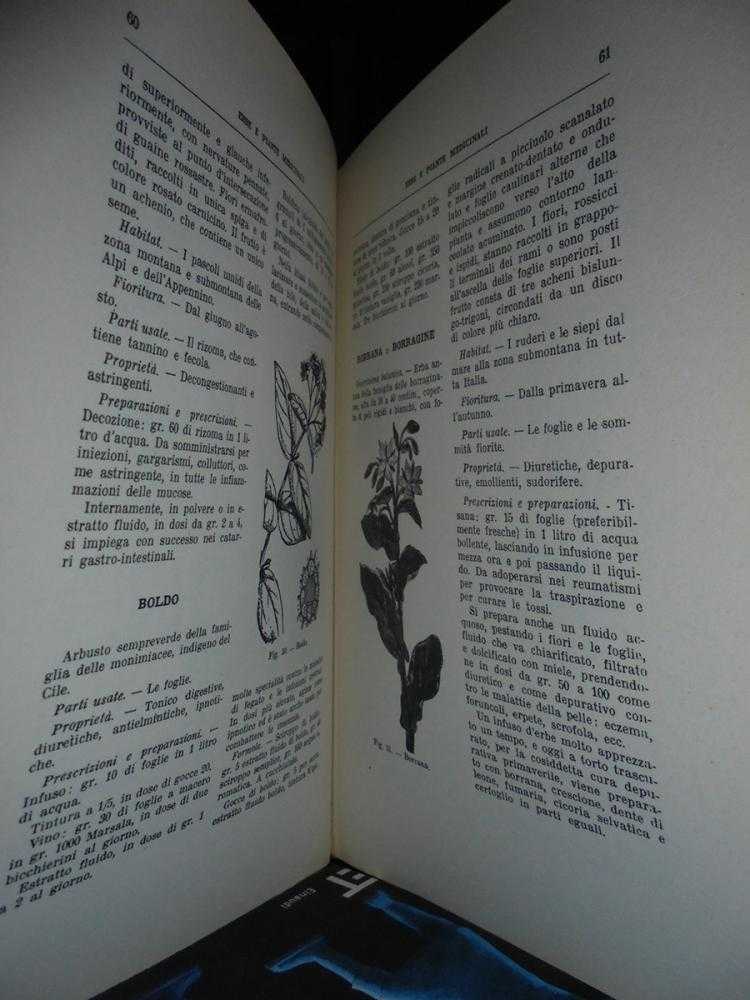 Erbe e Piante Medicinali - immagine 5