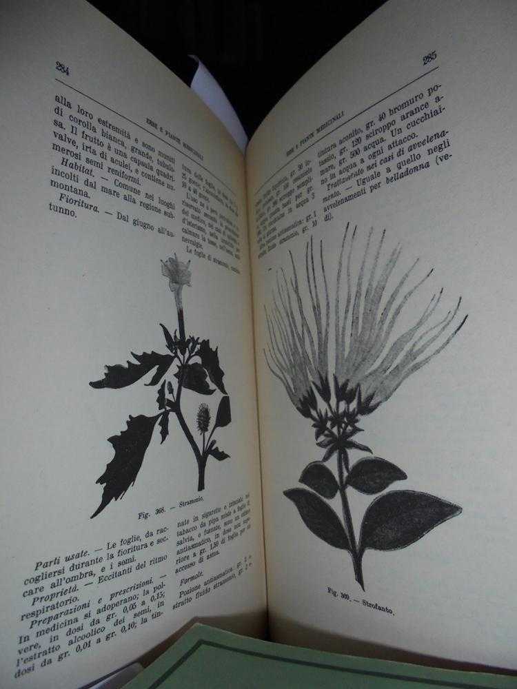 Erbe e Piante Medicinali - immagine 7