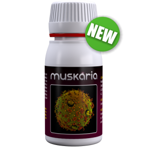 Agrobacterias MUSKARIA (Ex Fungi Killer) 60ml Attivatore Enzimatico con Microelementi