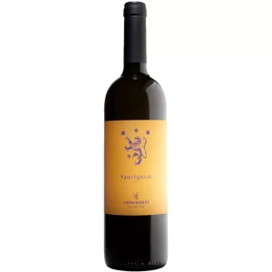 Friuli Grave DOC Sauvignon 2022 - Antonutti