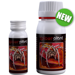 Agrobacterias SPIDER PLANT (Ex Spider Killer) Antistress a base di Amminoacidi