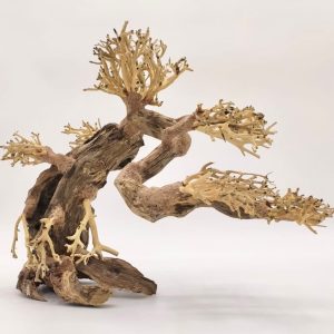 Whimar – Decor Bonsai Wood