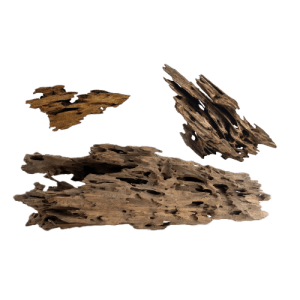 Whimar – Decor Dragon Mangrovia