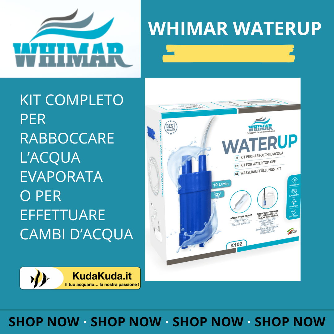 Whimar – Water Up K102 – kit per rabbocco e cambi d’acqua - immagine 2